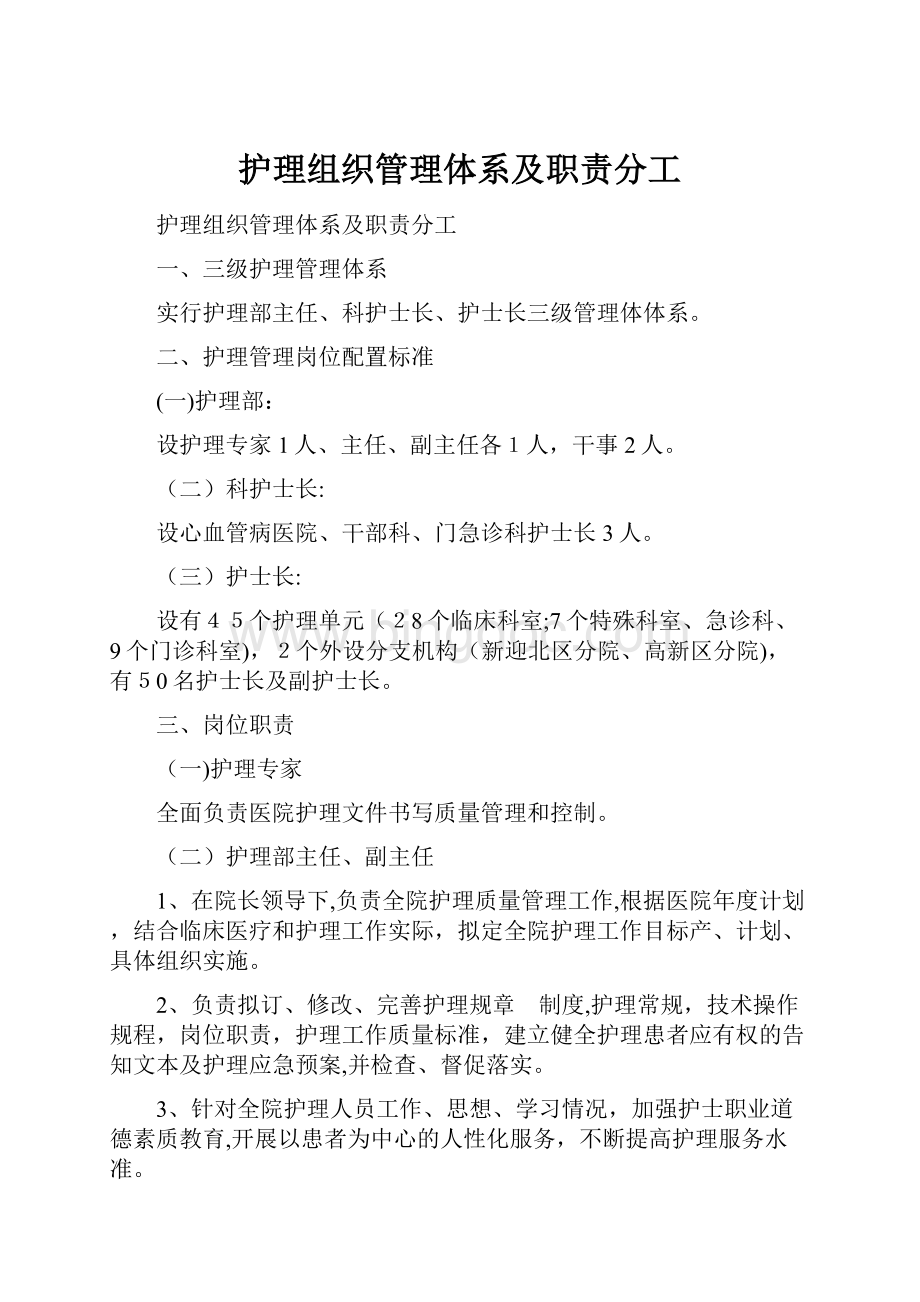 护理组织管理体系及职责分工.docx