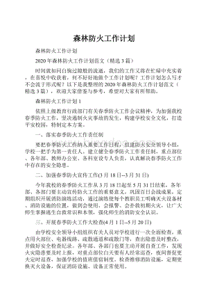 森林防火工作计划.docx