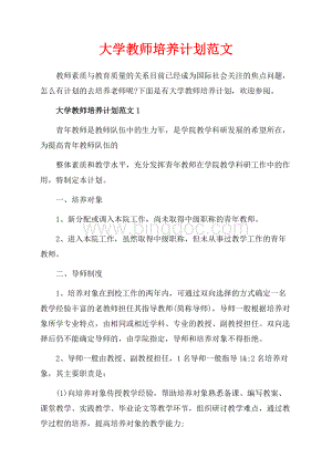 大学教师培养计划范文_3篇（共8页）5000字.docx