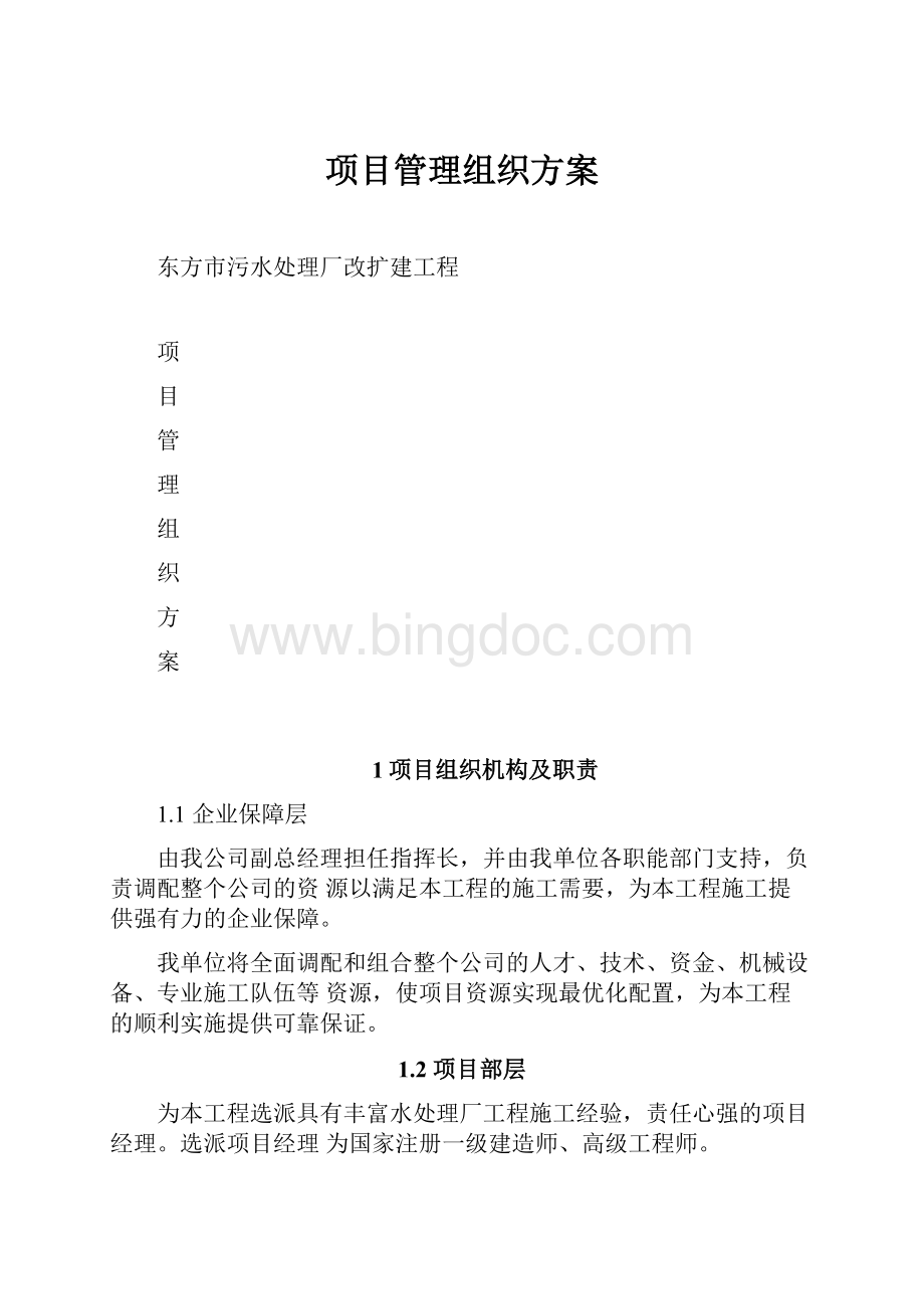 项目管理组织方案.docx