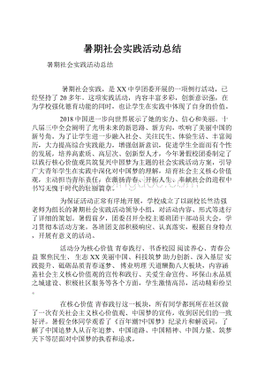 暑期社会实践活动总结.docx