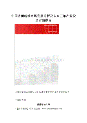 中国香薰精油市场发展分析及未来五年产业投资评估报告.docx