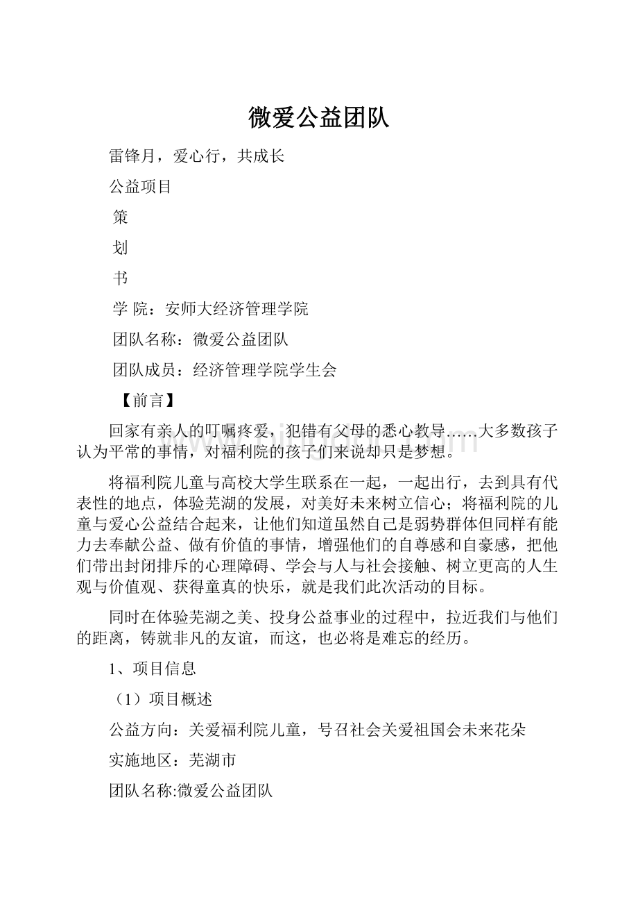 微爱公益团队.docx