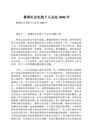 暑期社会实践个人总结3000字.docx