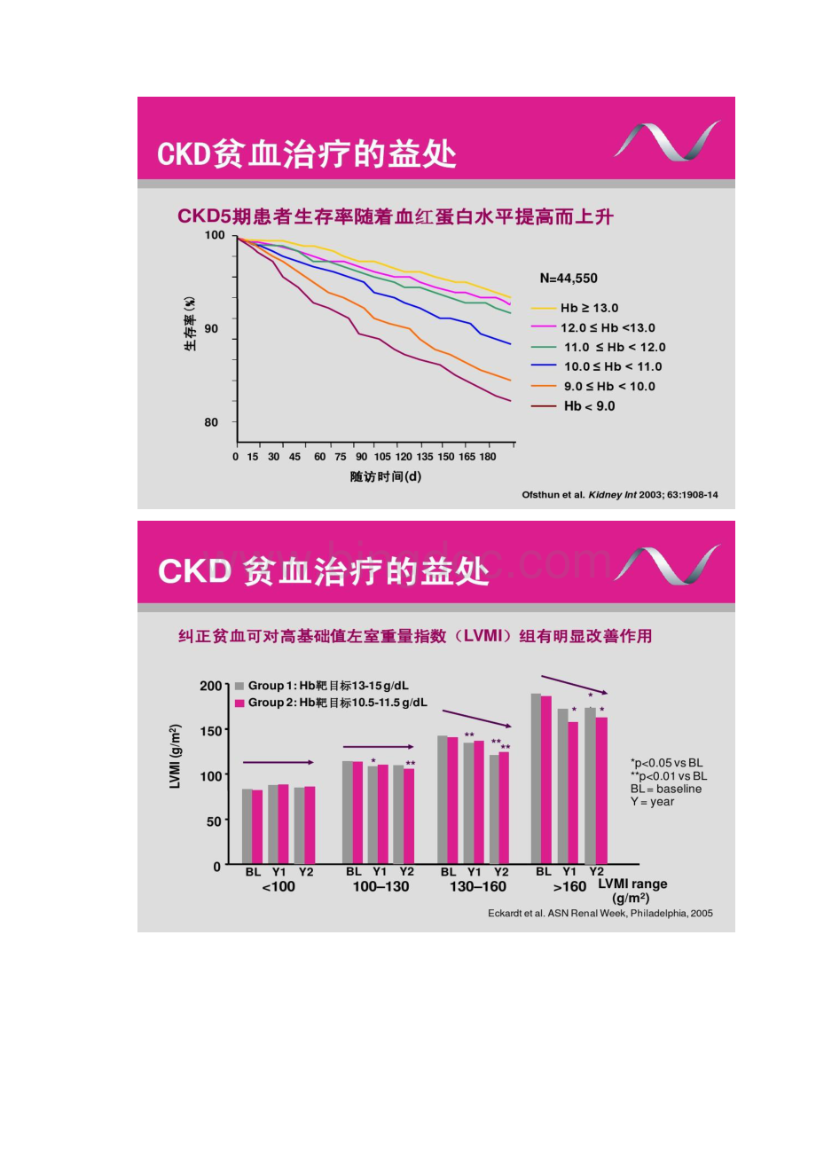 中国肾性贫血治疗的挑战及对策.docx_第2页