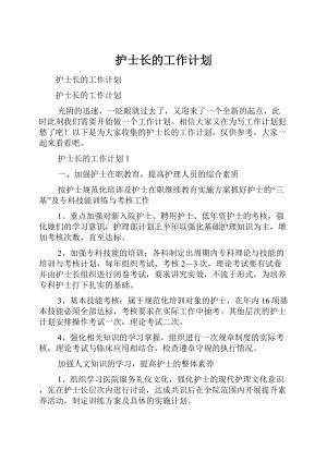 护士长的工作计划.docx