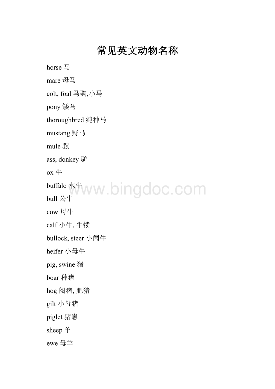 常见英文动物名称.docx