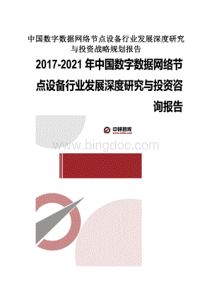 中国数字数据网络节点设备行业发展深度研究与投资战略规划报告.docx