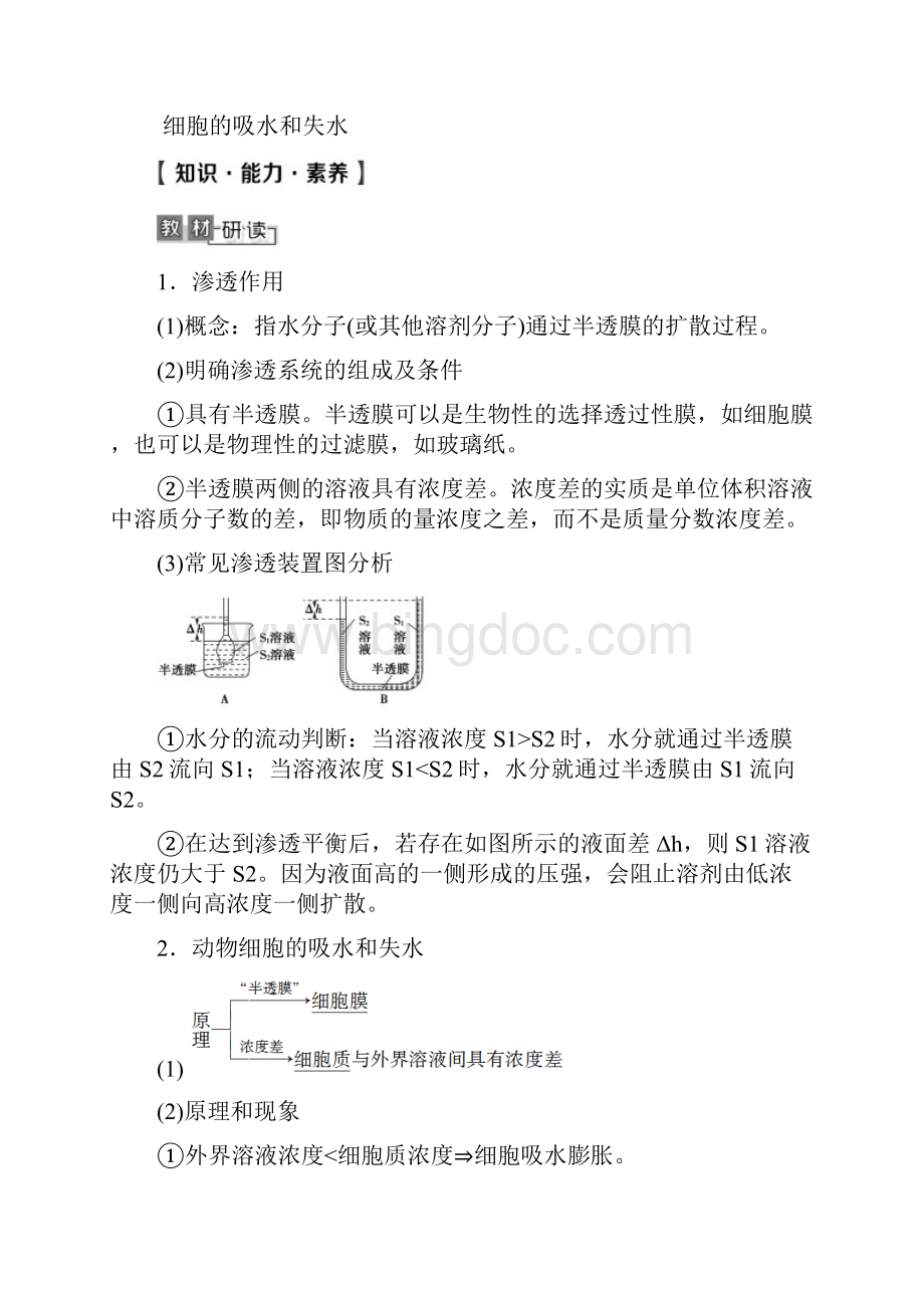 版新高考生物细胞的物质输入与输出考纲考向核心素养高分点拨25页.docx_第2页