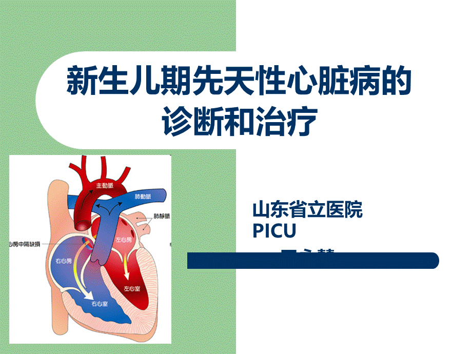 新生儿期先天性心脏病的诊断和治疗.ppt