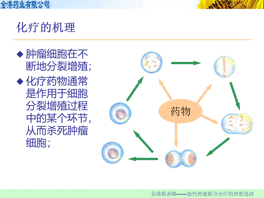 肿瘤化疗常见不良反应与处理-.ppt_第2页