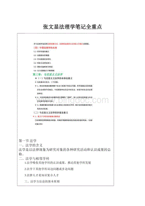 张文显法理学笔记全重点Word文档格式.docx