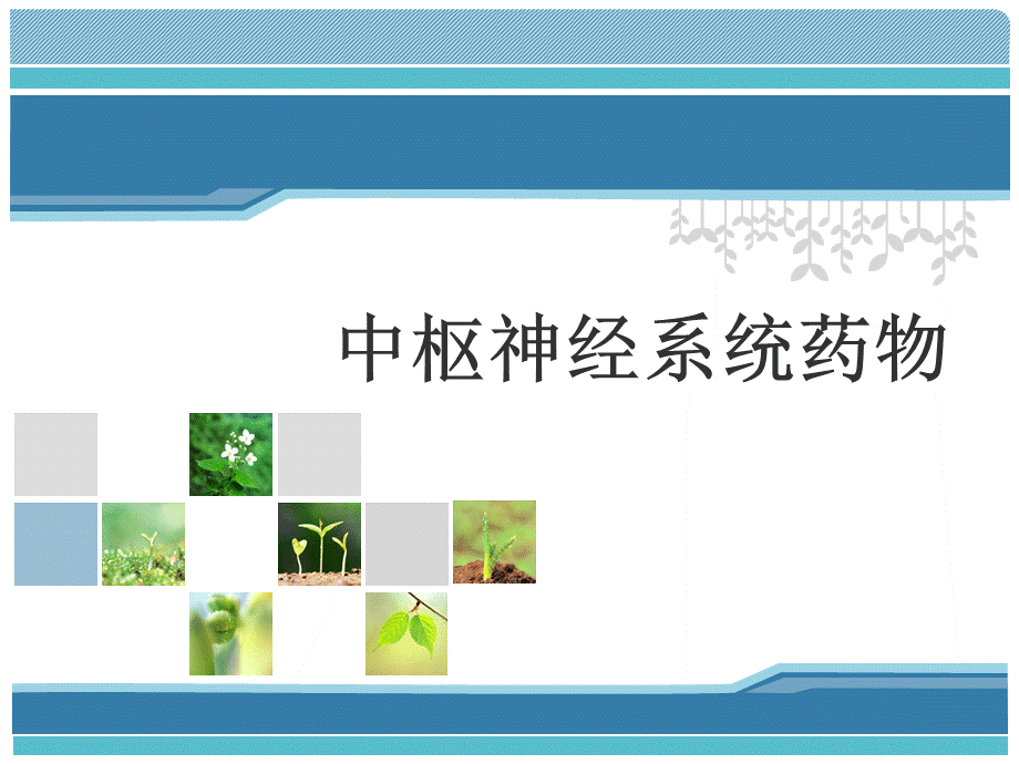 中枢神经系统7.ppt