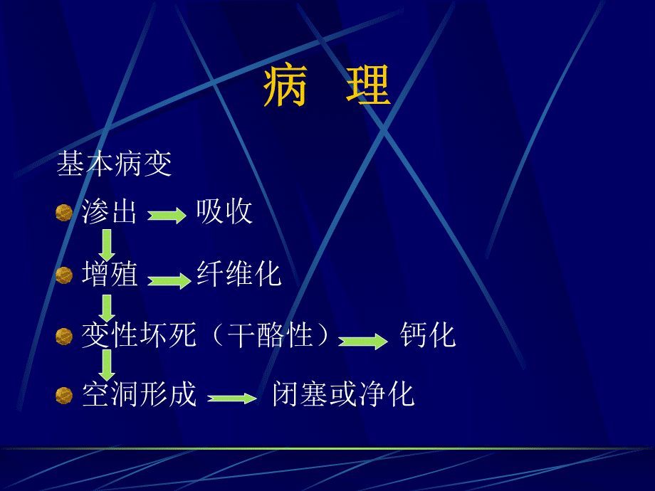 传染病院各型肺结核的影像表现.ppt_第3页