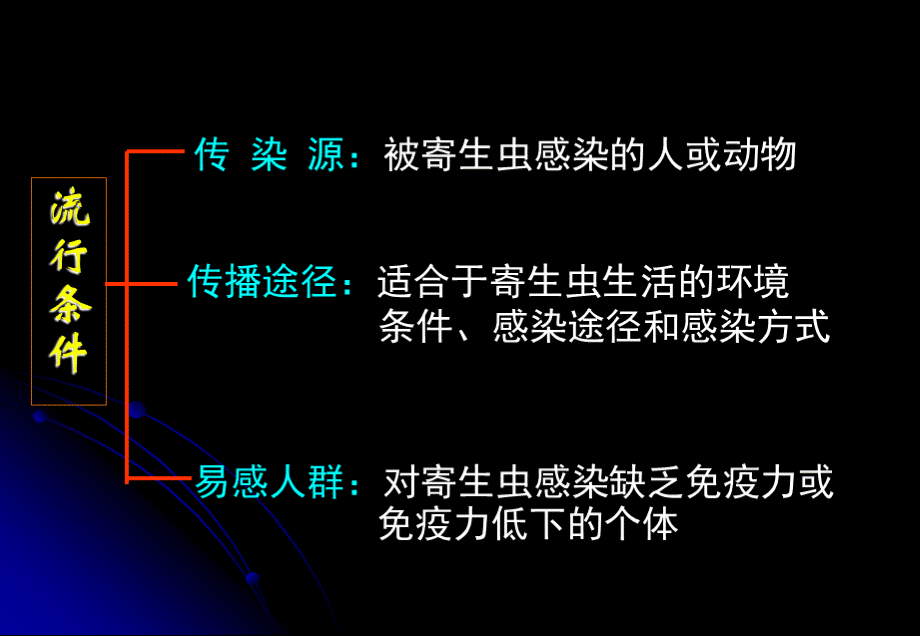 病理学-寄生虫病.ppt_第3页