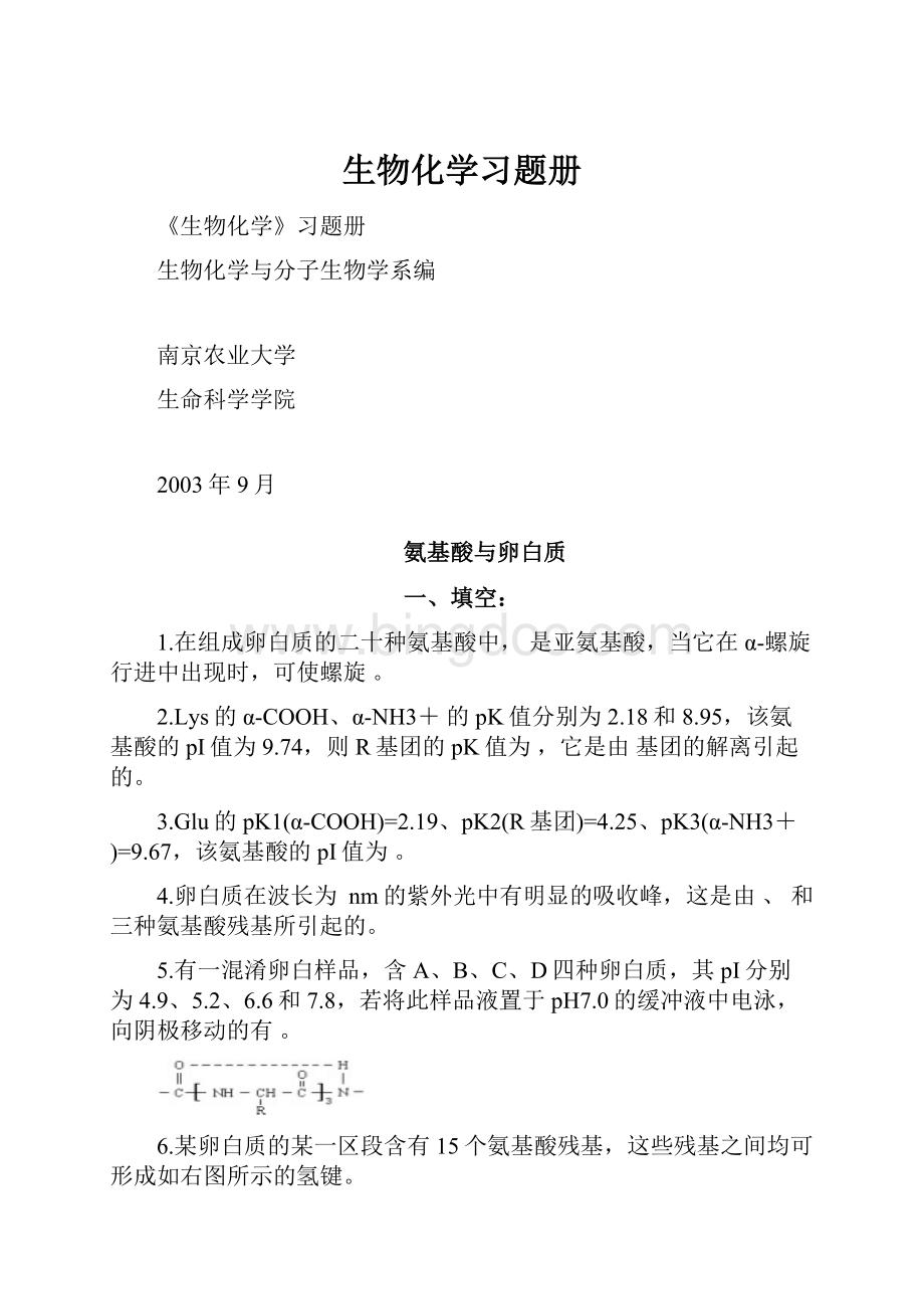 生物化学习题册文档格式.docx