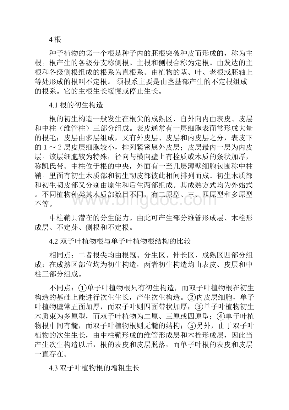 级植物学复习纲要文档格式.docx_第2页