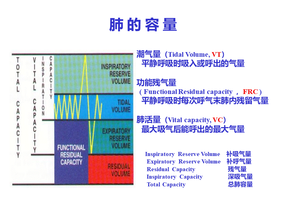 机械通气及临床应用.ppt_第3页