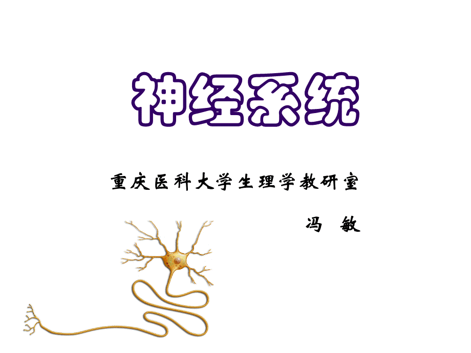 生理学神经系统.ppt