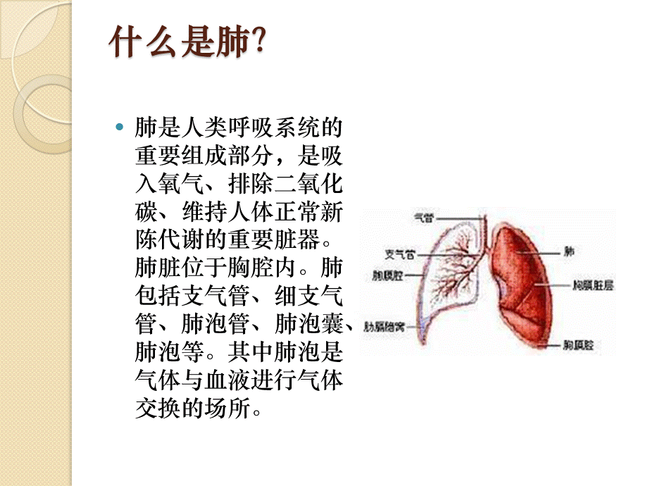 肺癌健康教育.pptx_第2页