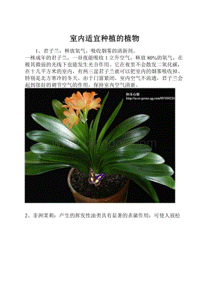 室内适宜种植的植物.docx
