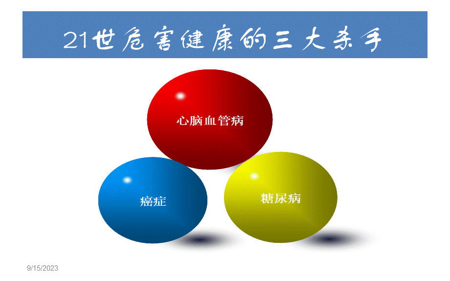 简明心脑血管防治手册.ppt_第2页