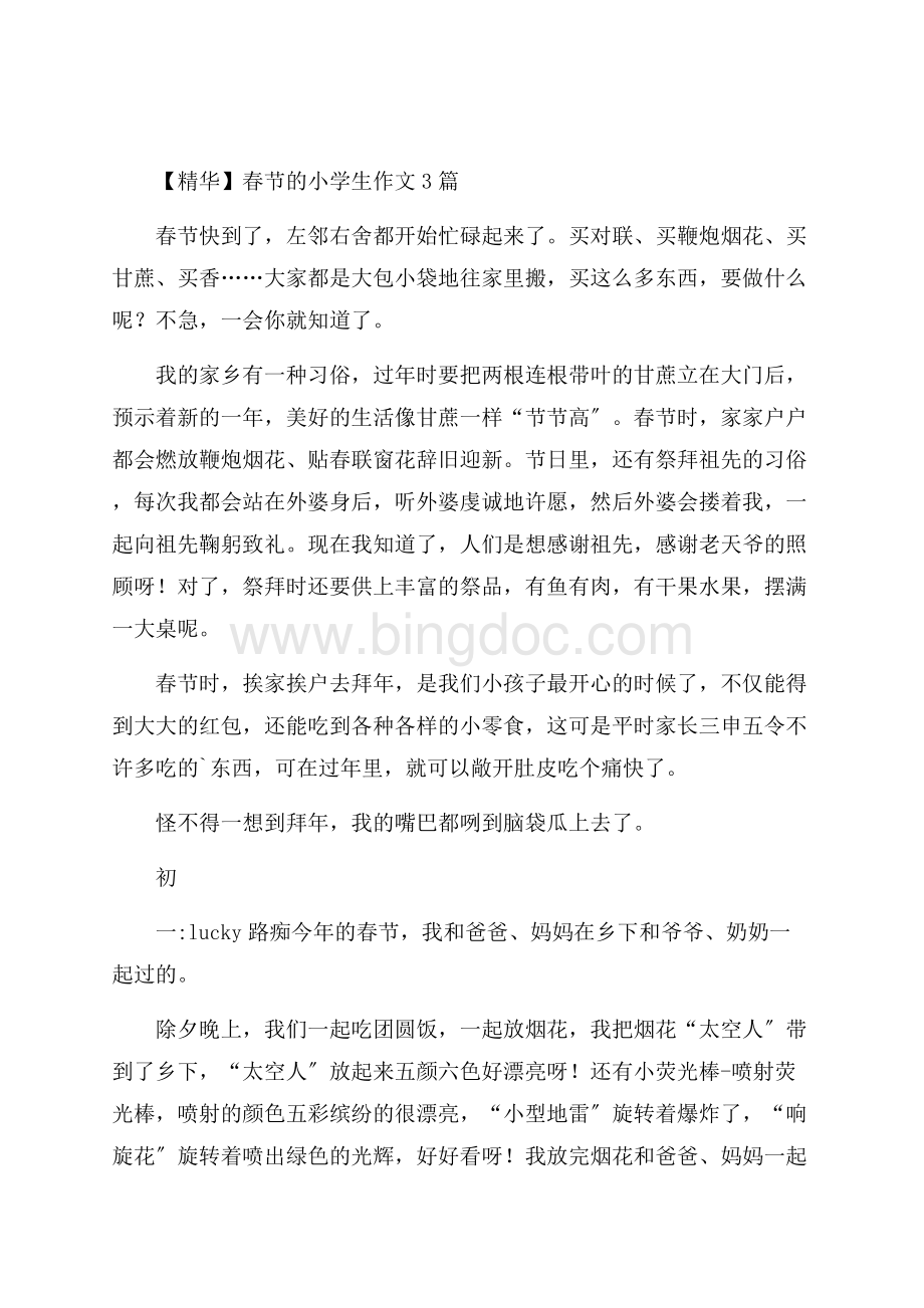 春节的小学生作文3篇精选.docx_第1页