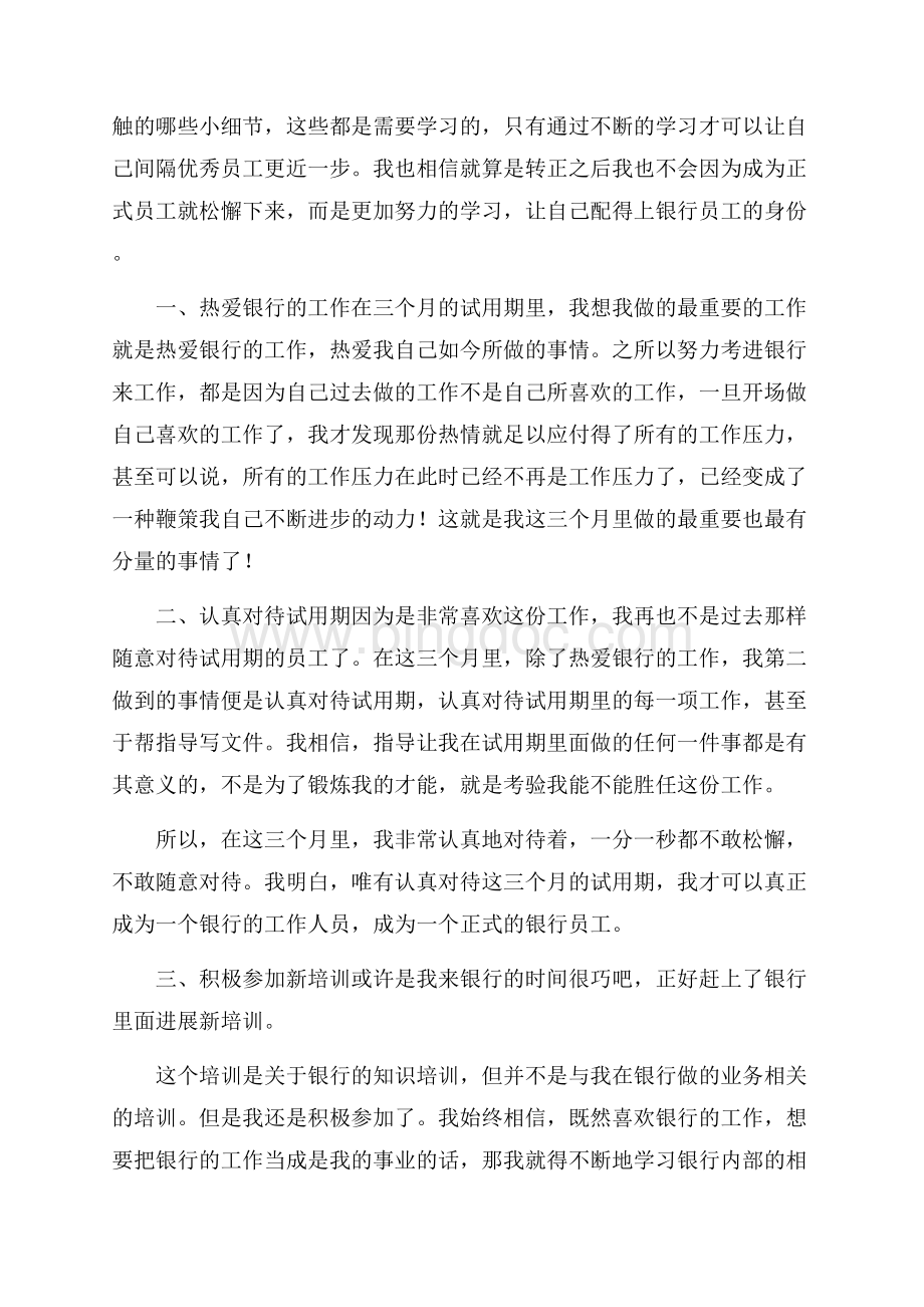 银行新职员试用期转正工作总结精选文档格式.docx_第2页