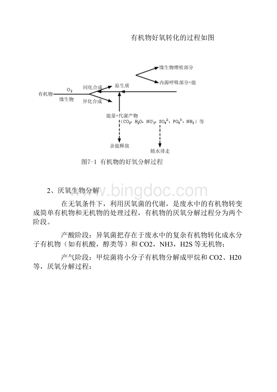 废水生物处理.docx_第2页