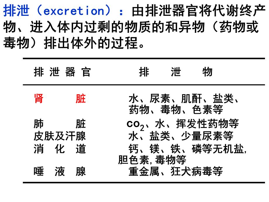 尿生成和排出.ppt_第3页