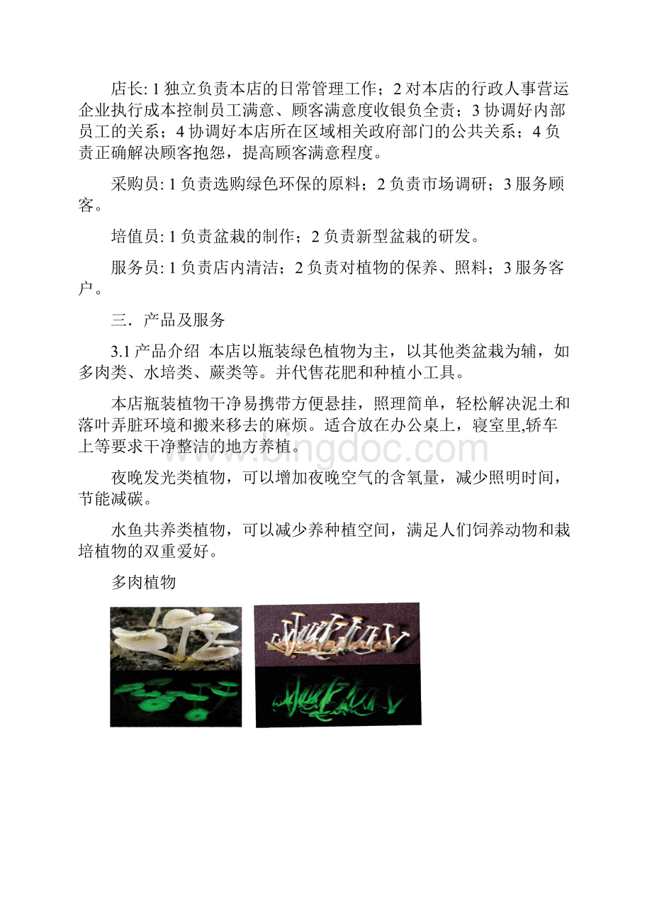 可绿坊特色绿色植物项目创业策划书 精品Word文档格式.docx_第2页