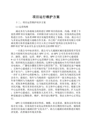 项目运行维护方案.docx