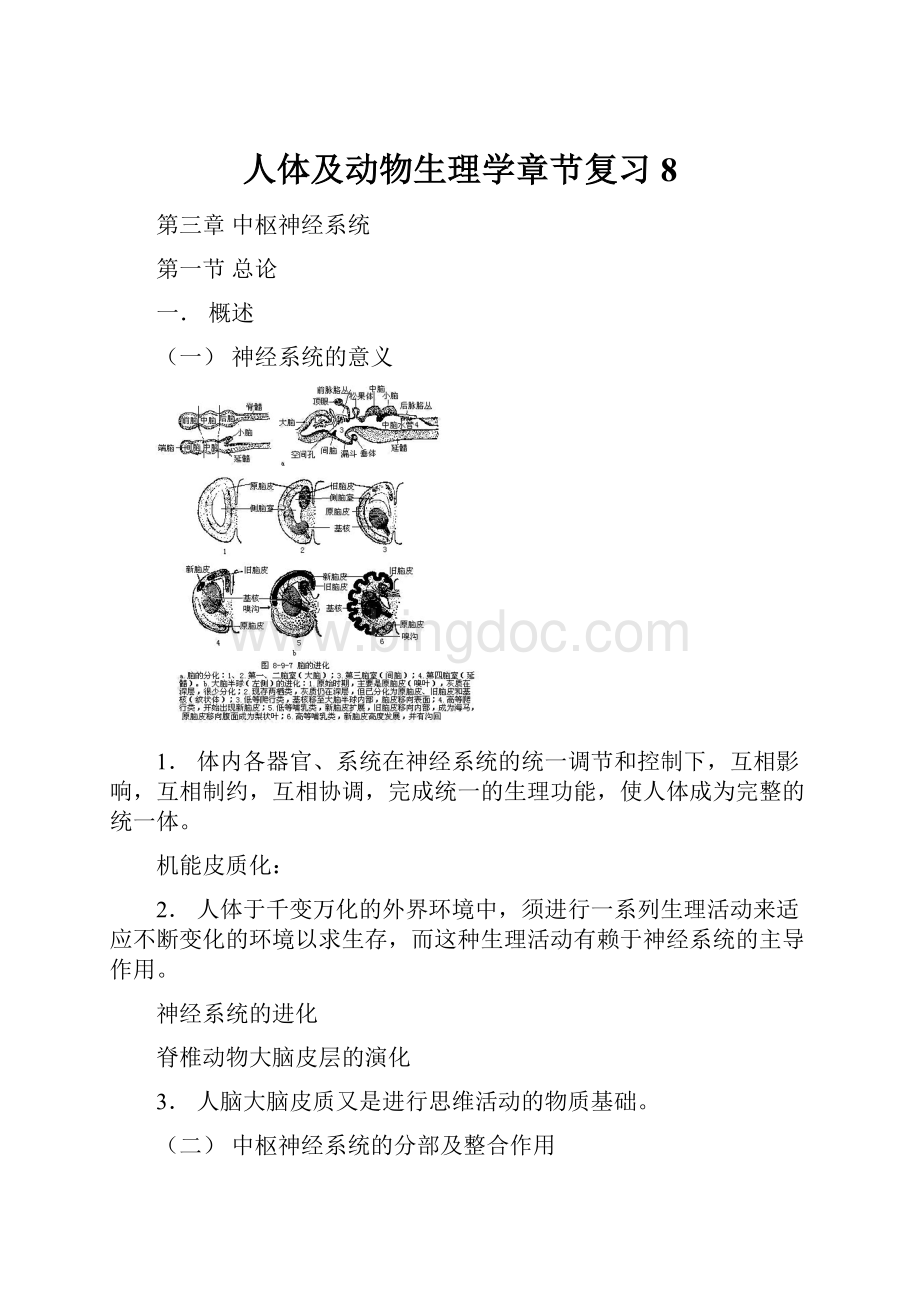 人体及动物生理学章节复习8.docx