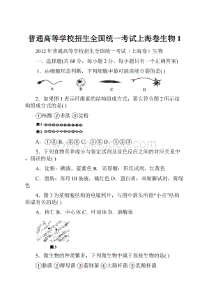 普通高等学校招生全国统一考试上海卷生物1.docx