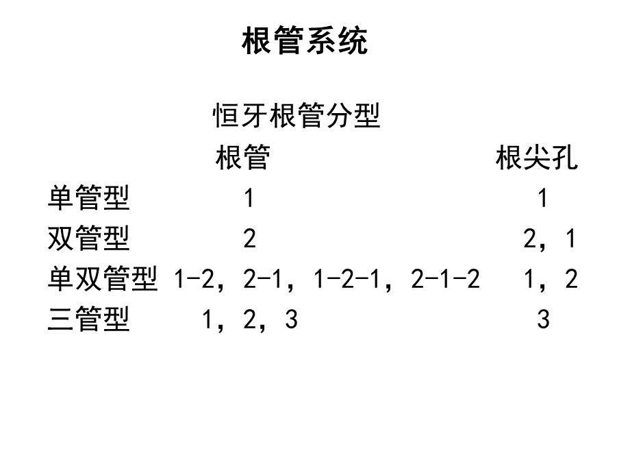 髓腔.ppt_第2页