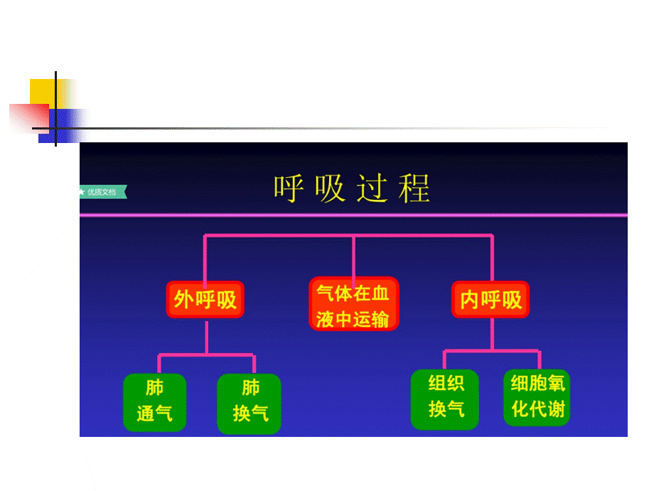 呼吸衰竭ppt.ppt_第3页