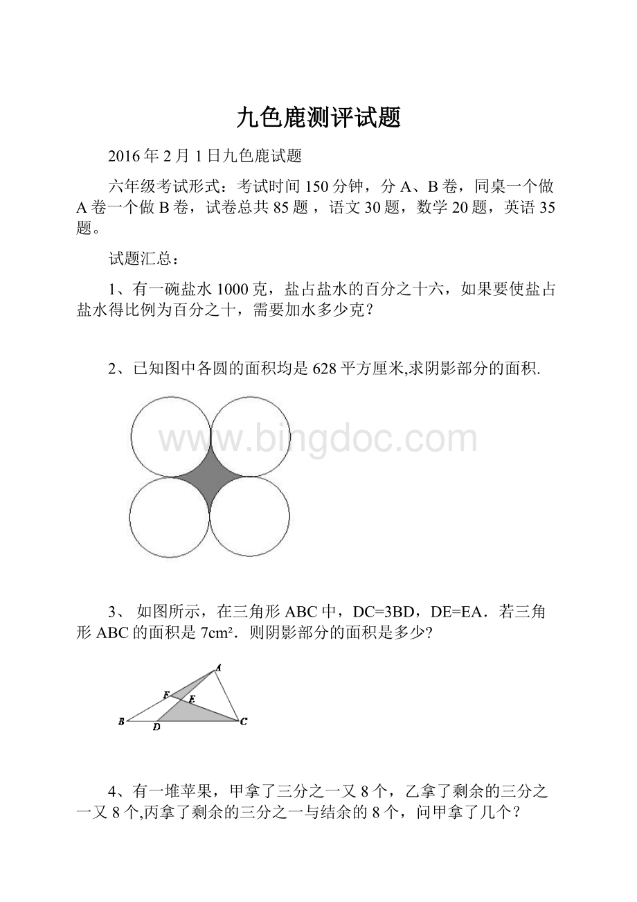 九色鹿测评试题.docx_第1页