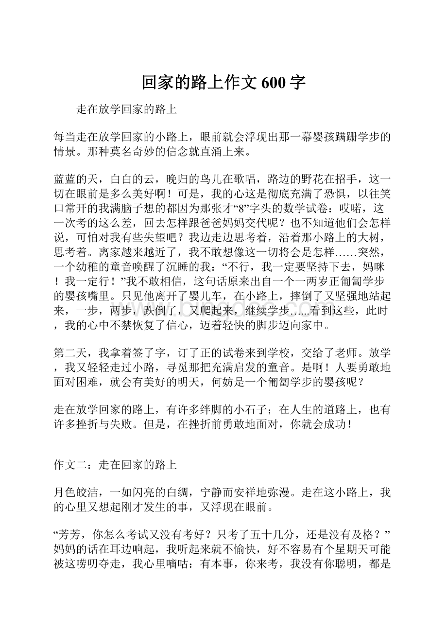 回家的路上作文600字Word下载.docx