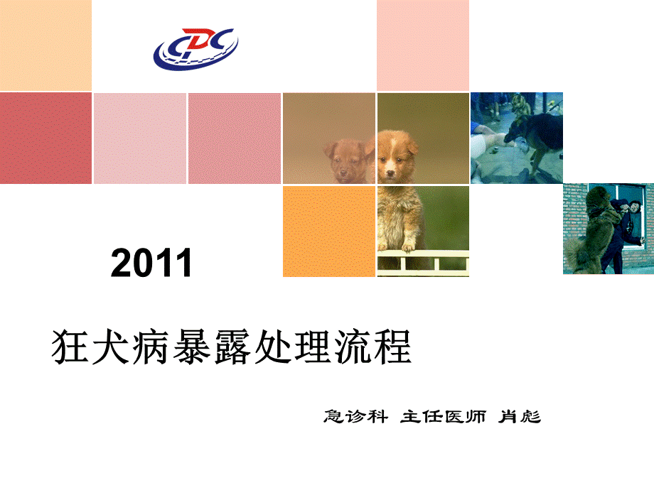 狂犬病暴露处理流程.ppt