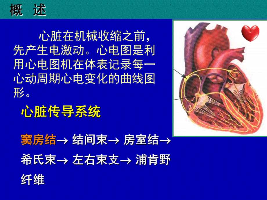 异常心电图的识别和处理.ppt_第2页