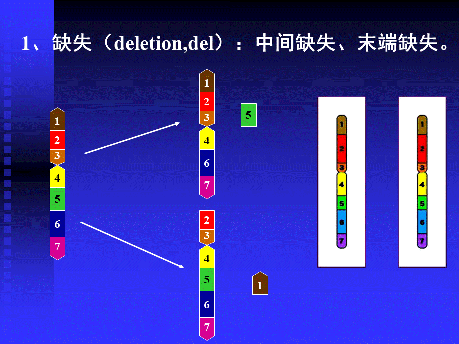 人类染色体疾病的诊断二.ppt_第2页