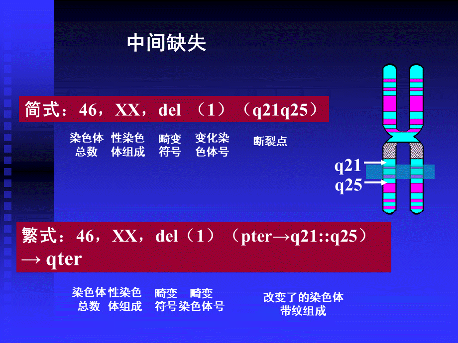 人类染色体疾病的诊断二.ppt_第3页