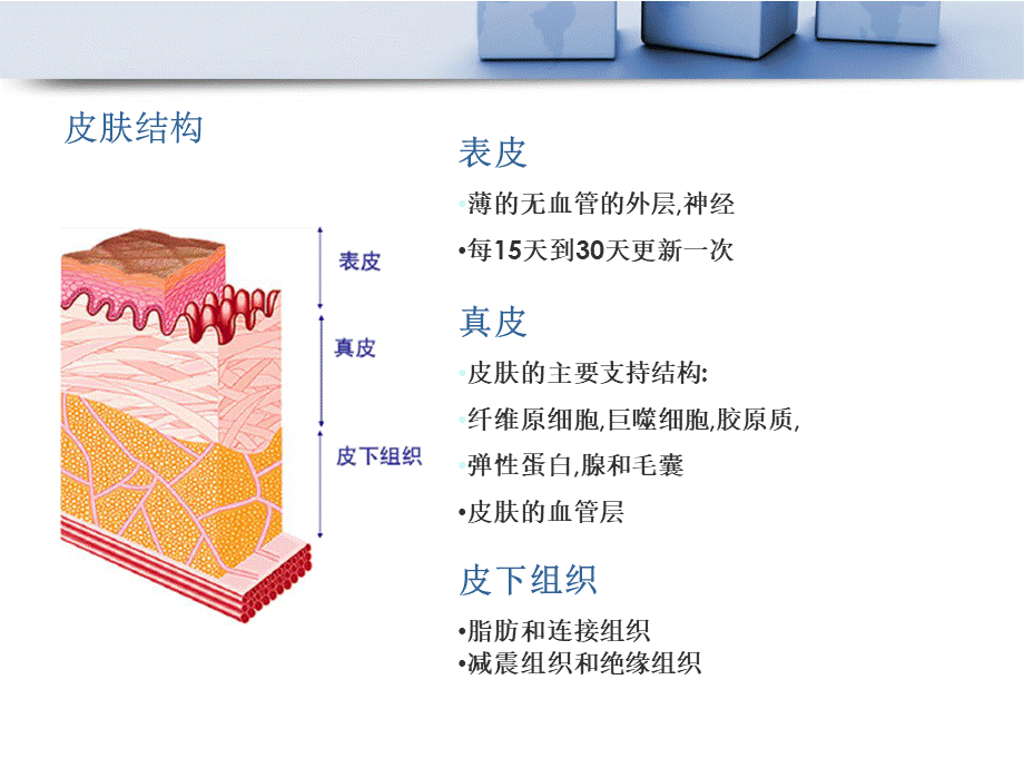 新型敷料临床应用.ppt_第3页