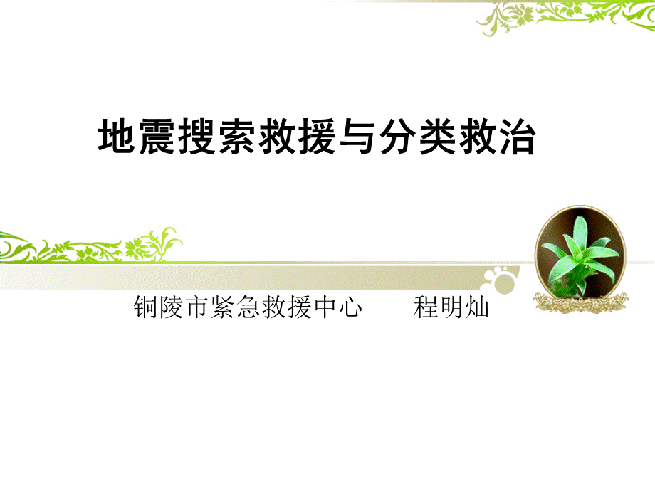 地震救援现场搜索与分类救治.ppt