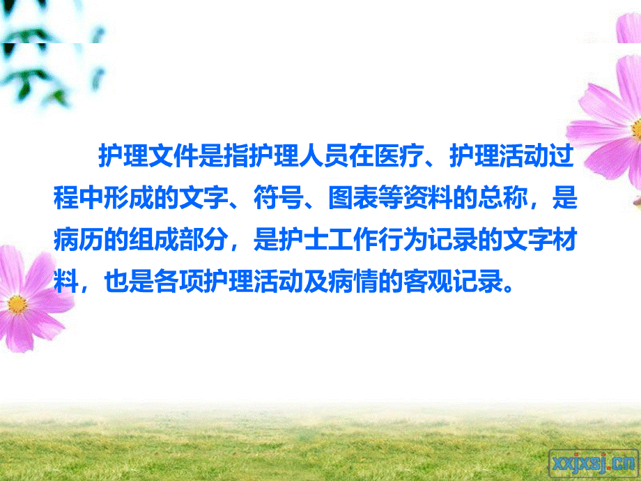 护理文书书写要求及质量管理.ppt_第3页