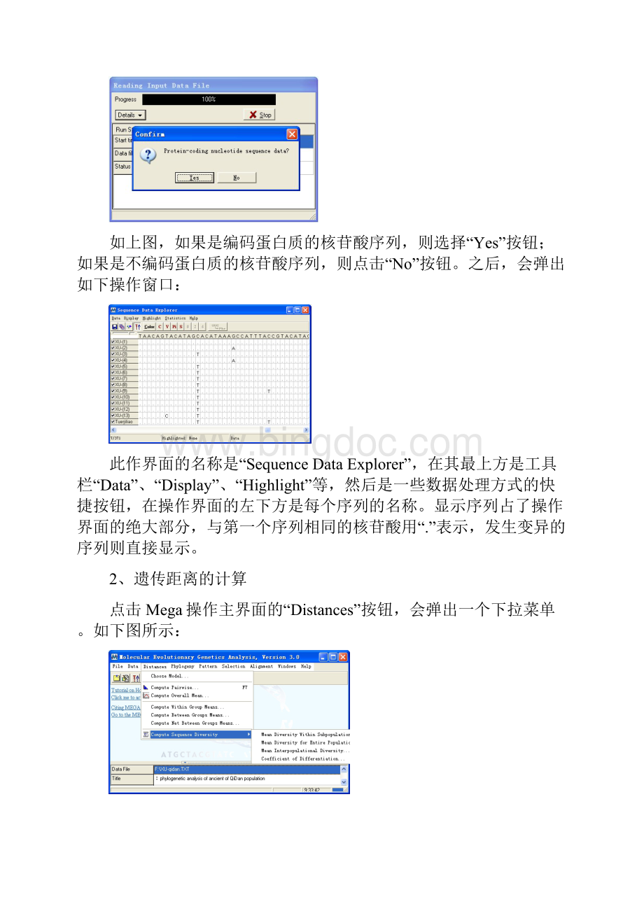 MEGA软件的使用Word格式文档下载.docx_第3页