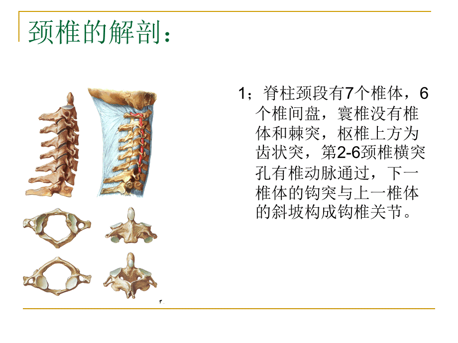 颈肩腰腿痛1.ppt_第3页