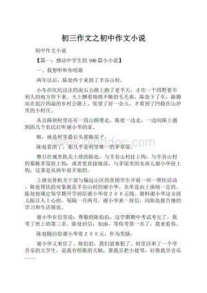 初三作文之初中作文小说Word格式.docx