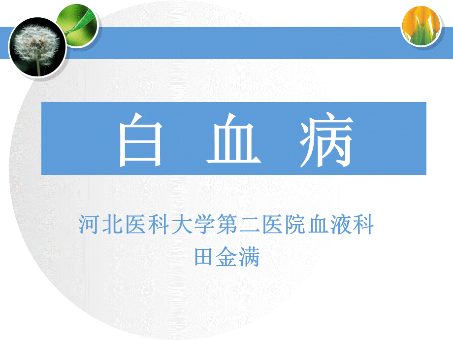 白血病护理.ppt_第1页