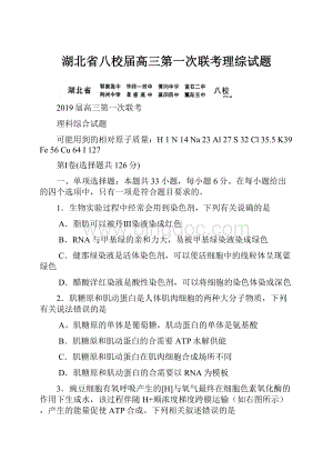 湖北省八校届高三第一次联考理综试题.docx